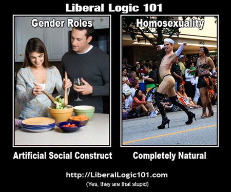 liberal-logic-101-63.jpg