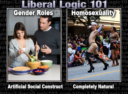 liberal-logic-101-3361.jpg