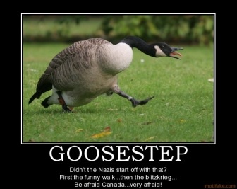 Goose Stepping.jpg
