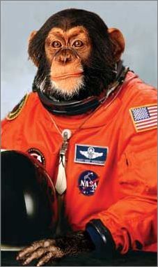 monkey_astronaut.jpg