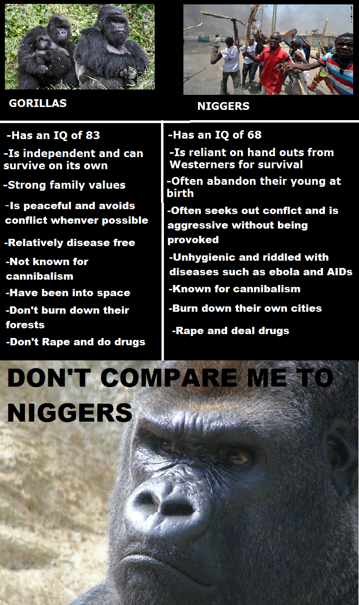 8PRJKA.png